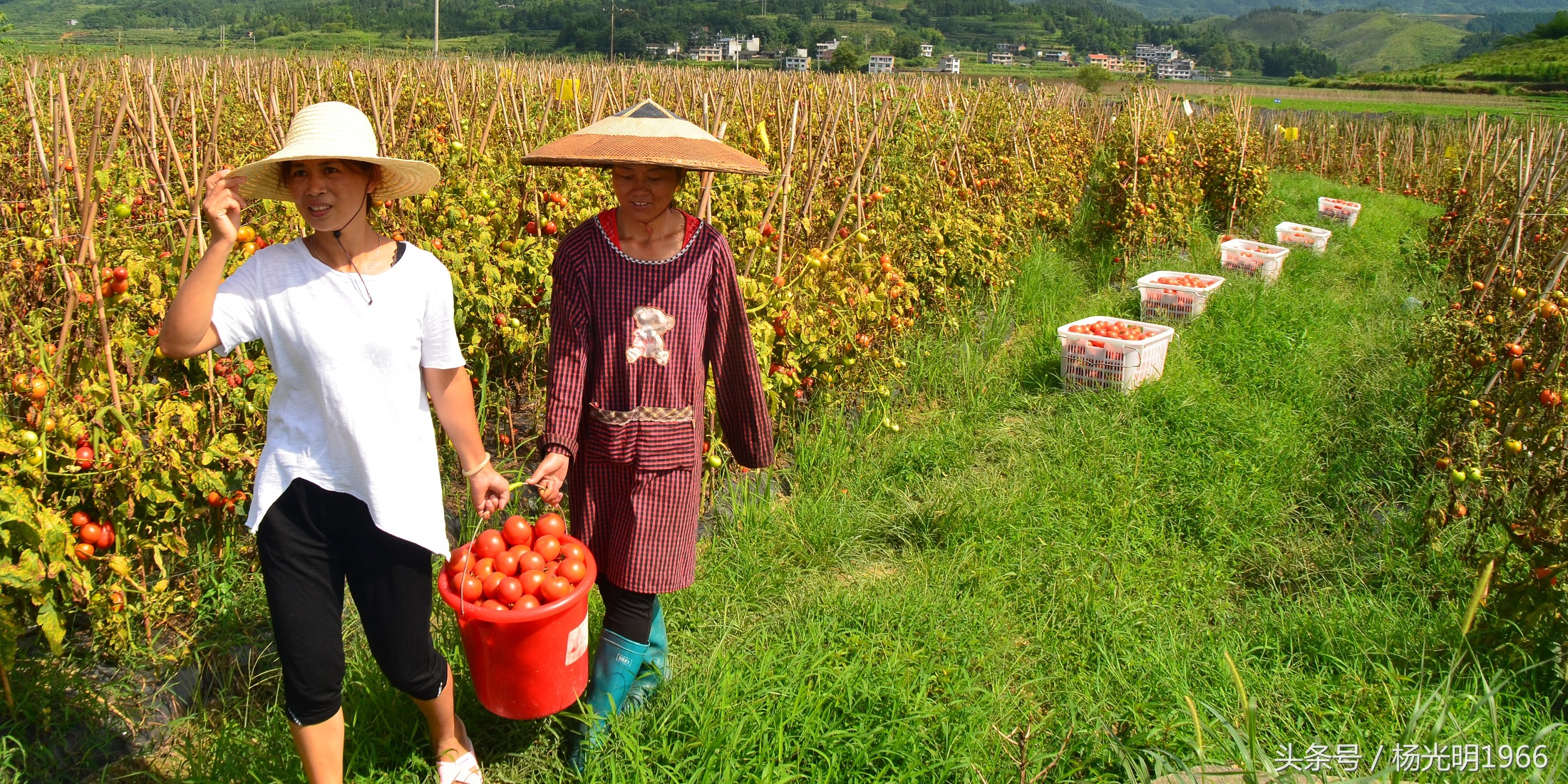勇啃硬骨头,攻坚克难啃硬骨头的精神