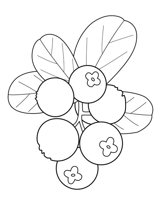 水果蔬菜简笔画合集可打印涂色,各种水果蔬菜的画法简笔画