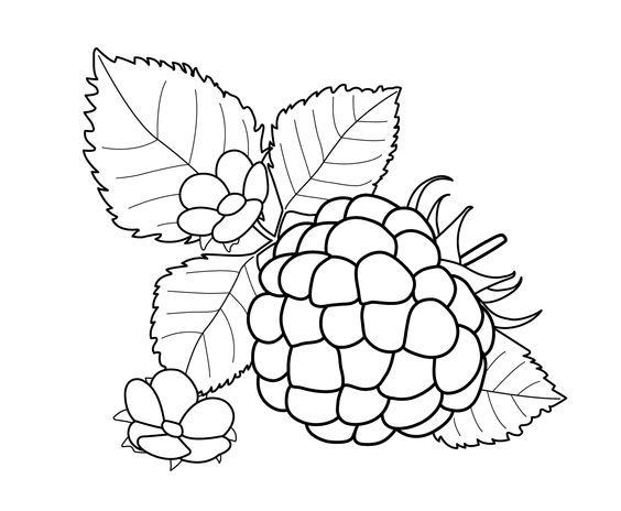 水果蔬菜简笔画合集可打印涂色,各种水果蔬菜的画法简笔画