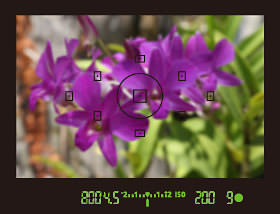 单反相机新手零基础教学佳能相机,佳能数码相机摄影技巧大全