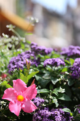 佳能单反相机操作使用设置教程,单反相机新手基础教程佳能