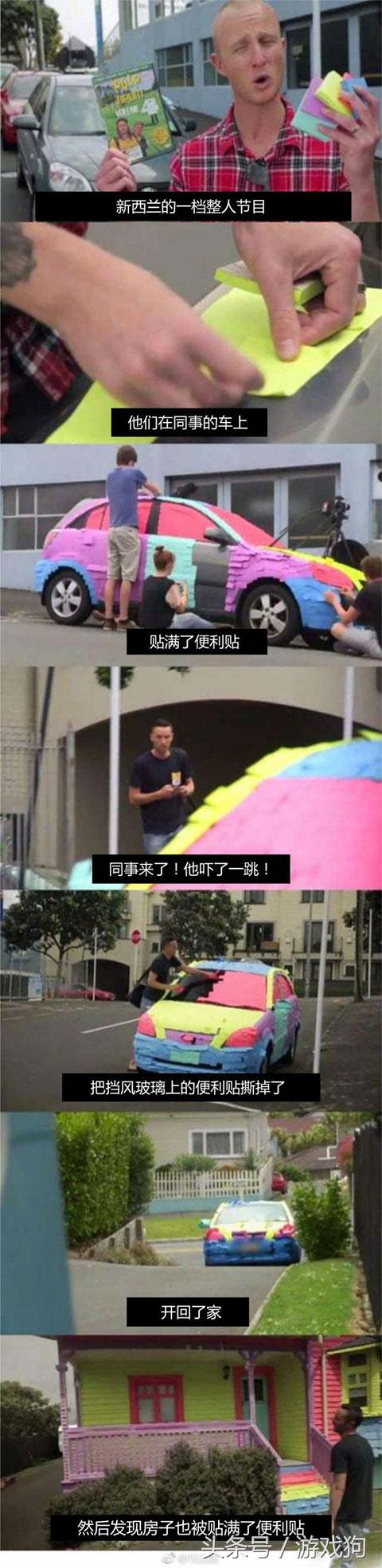 第一次养仓鼠日常生活,仓鼠已经养了6天了