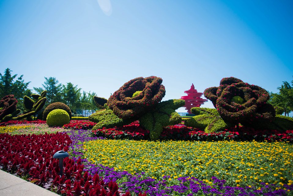 青岛2017年城建,青岛城建最新视频