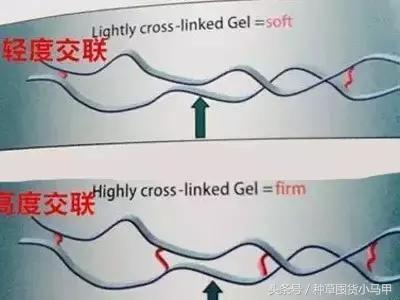 整形医生黑幕完整版,整形黑幕