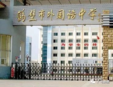 鹤壁市国家级学校名单,鹤壁市示范区学校排名