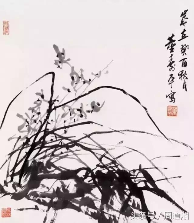 国画四大君子之兰花,国画兰花最好的是哪种