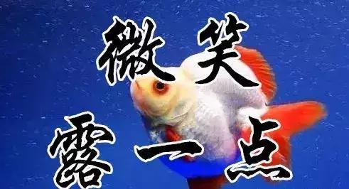 知足常乐每天都要保持开心的状态,知足常乐开心过好每一天