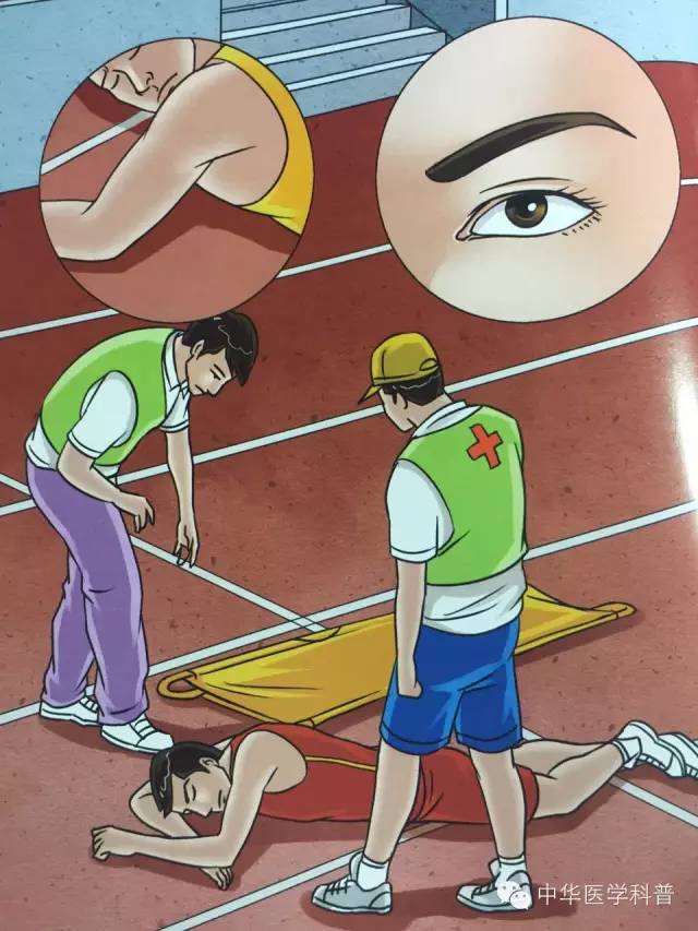 中暑急救常识大全,猫咪中暑的急救常识