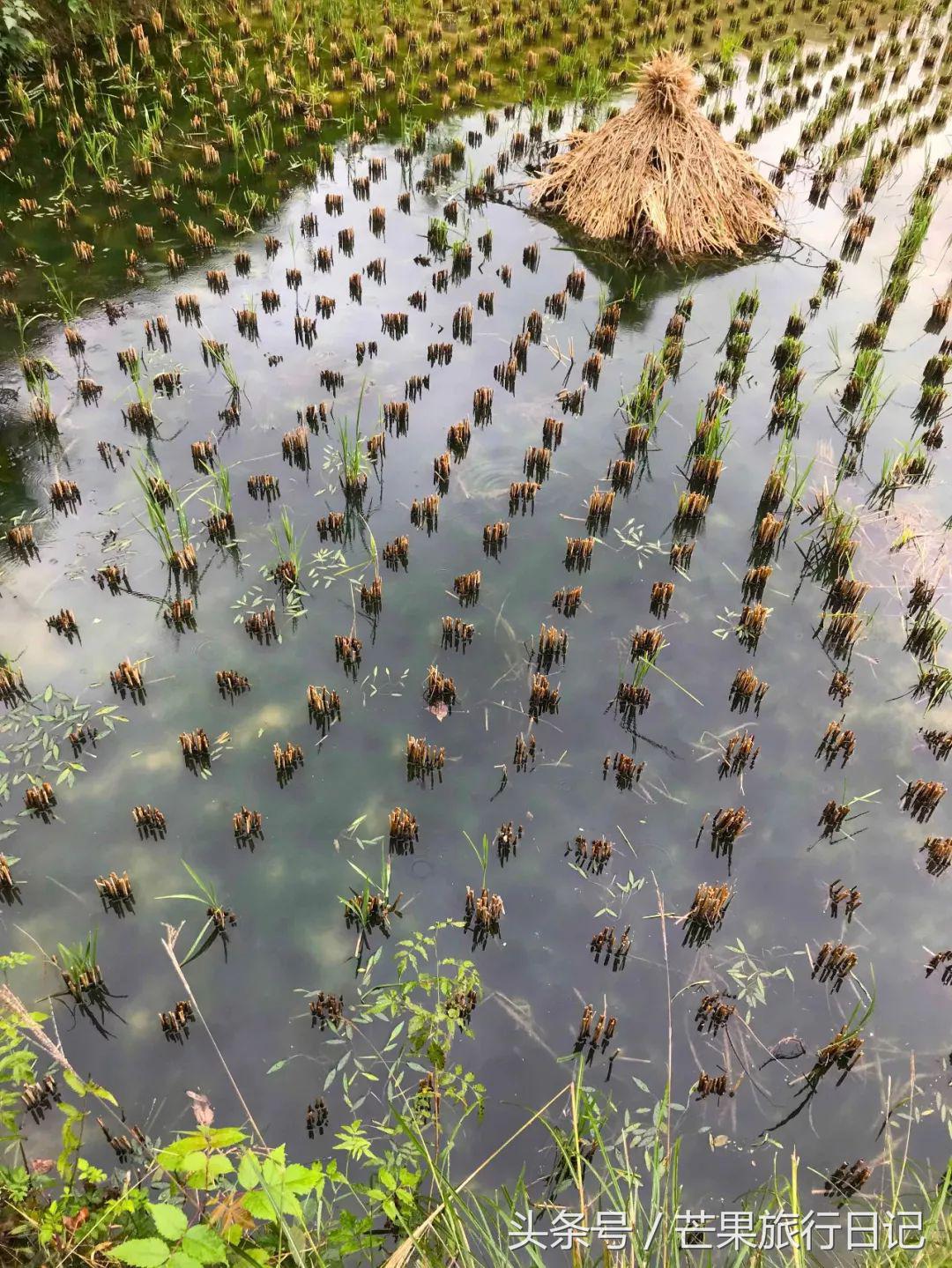 云南出发去贵州旅游攻略,云南旅游门票攻略自助游三日游