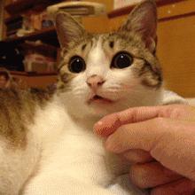 让女朋友吃避孕药被发现了,出差两个月发现女朋友在吃避孕药