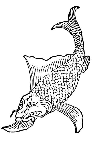 山海经赤鱬是美人鱼吗,山海经鲛人族美人鱼