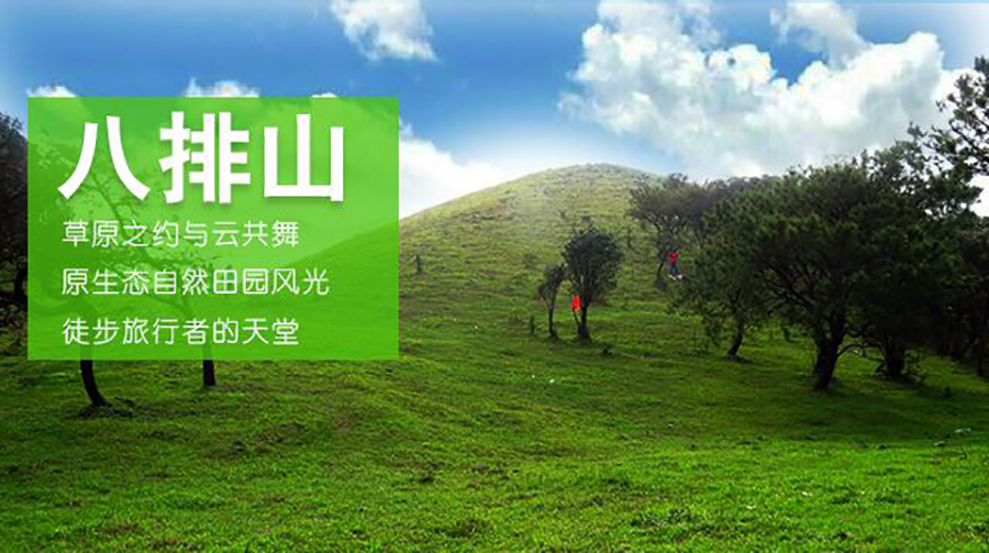 想看大草原是去西藏还是新疆,想看草原去哪里合适