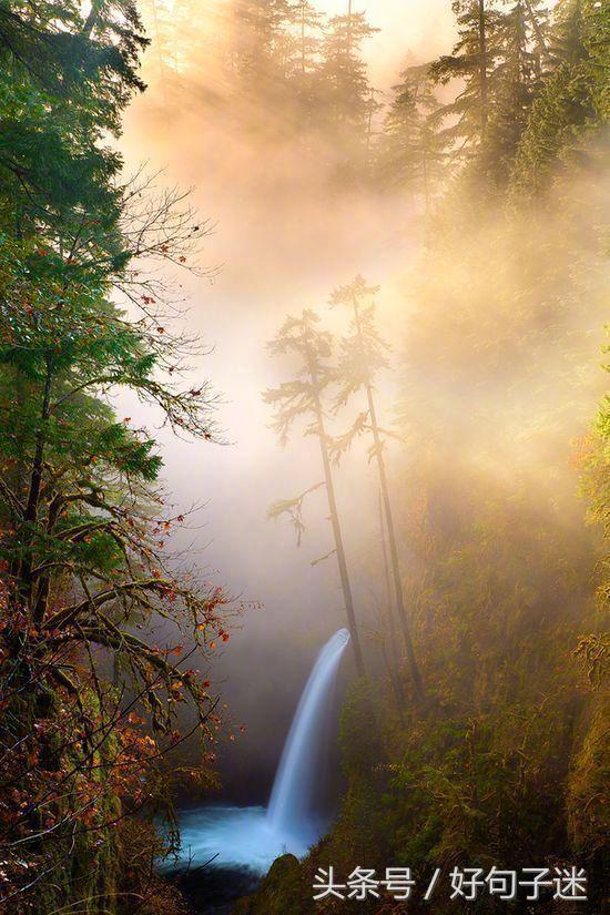 忏悔录卢梭翻译本,卢梭忏悔录著名语录