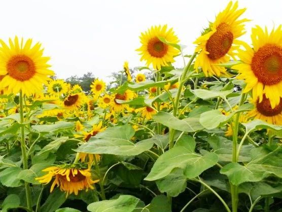 韩妆美学自由行热门攻略,韩国旅游攻略美妆店