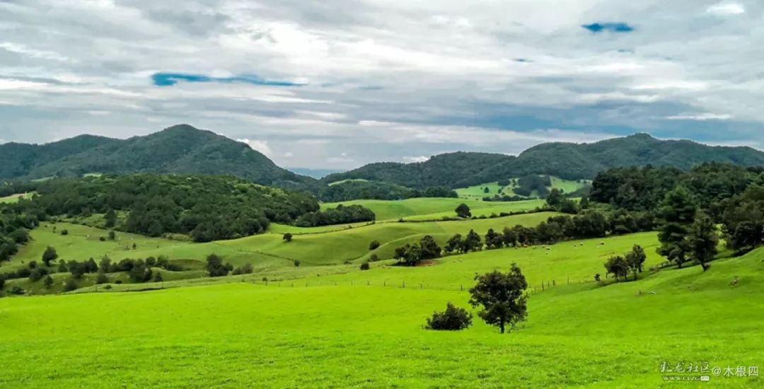 寻甸凤龙青青草原,寻甸凤龙山草原