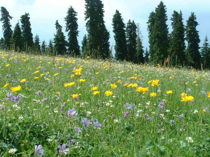 乌鲁木齐到s101自驾游最佳路线图,乌鲁木齐到西安自驾游最佳路线图