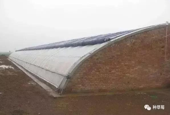 温室大棚120平方米建造价格一览表,温室大棚建造哪里最好