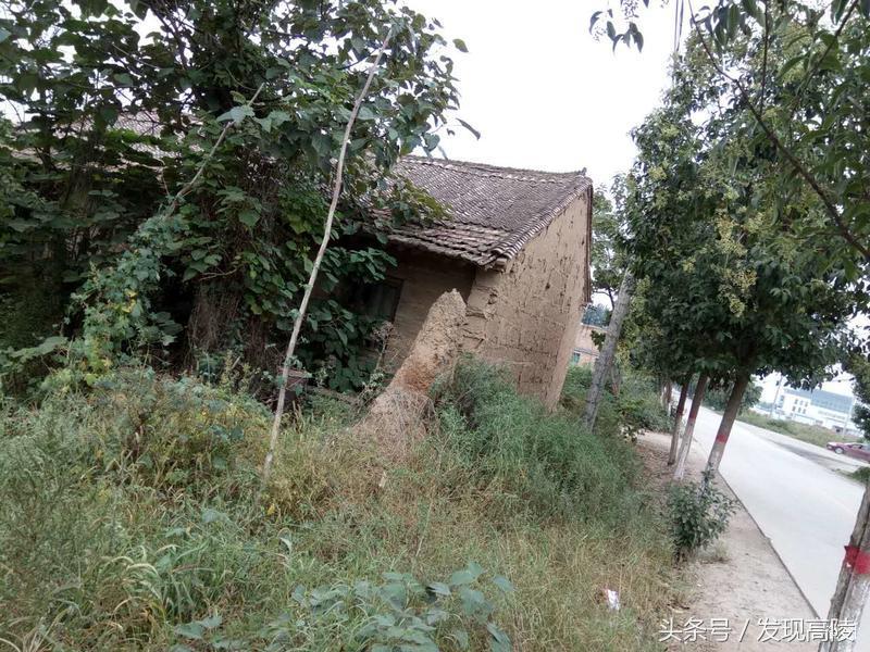 陕西关中六十年代农村土炕照片,记忆中的土炕