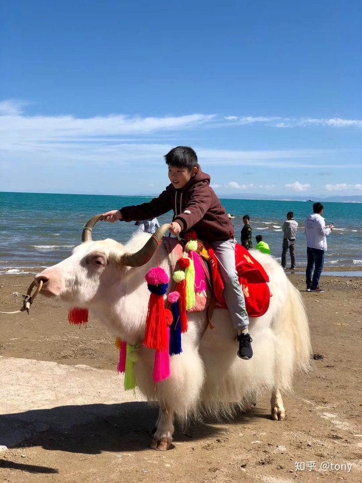 自驾15天西行游记，西北大环线吃住行详尽攻略