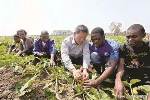 论种族天赋，在下是彻底输给了这波神操作了！