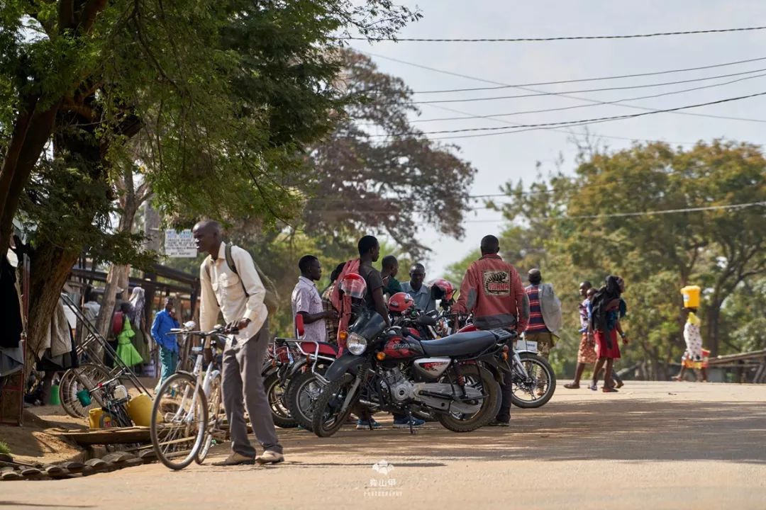 肯尼亚和坦桑尼亚哪个值得去,坦桑尼亚刚刚好之行