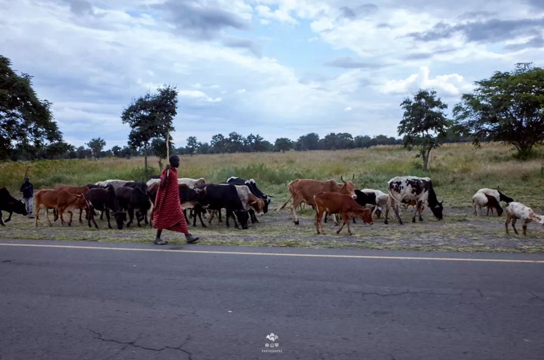 坦桑尼亚最值得去的地方,海外之旅坦桑尼亚