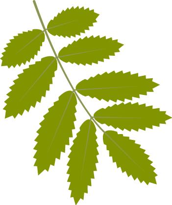 小学体育见习日志,学前教育见习日志