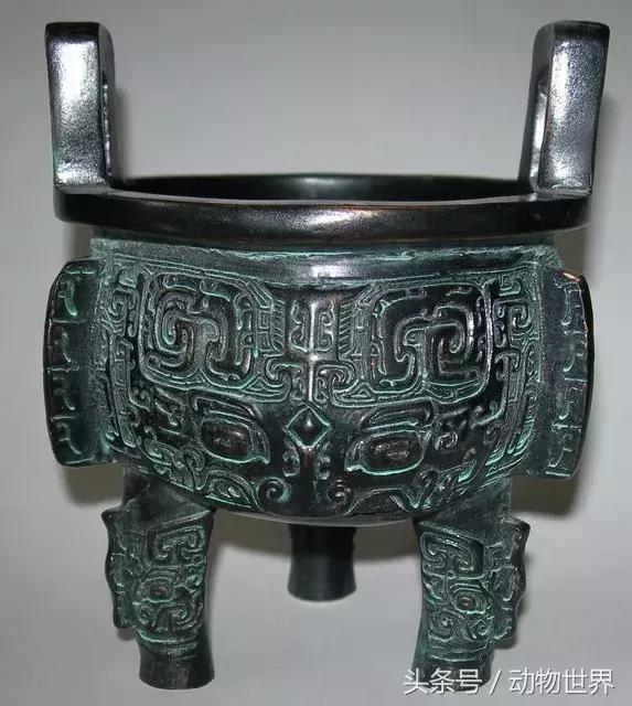 像海参又像虫子的东西是什么,像海参的虫子是什么