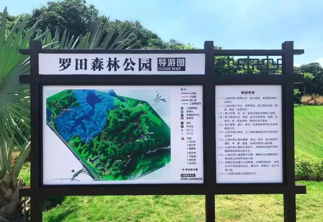 深圳最新的一个超级公园,深圳美景免费景点