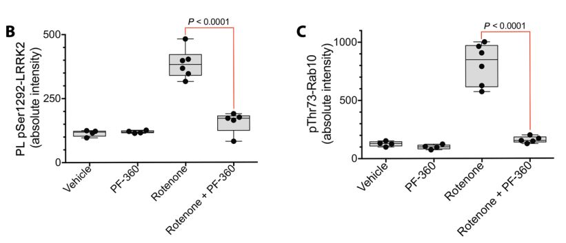 《科学》子刊：科学家首次证实正常的LRRK2基因也会促进帕金森病，90%发病原因不明的患者或许也有救了｜科学大发现