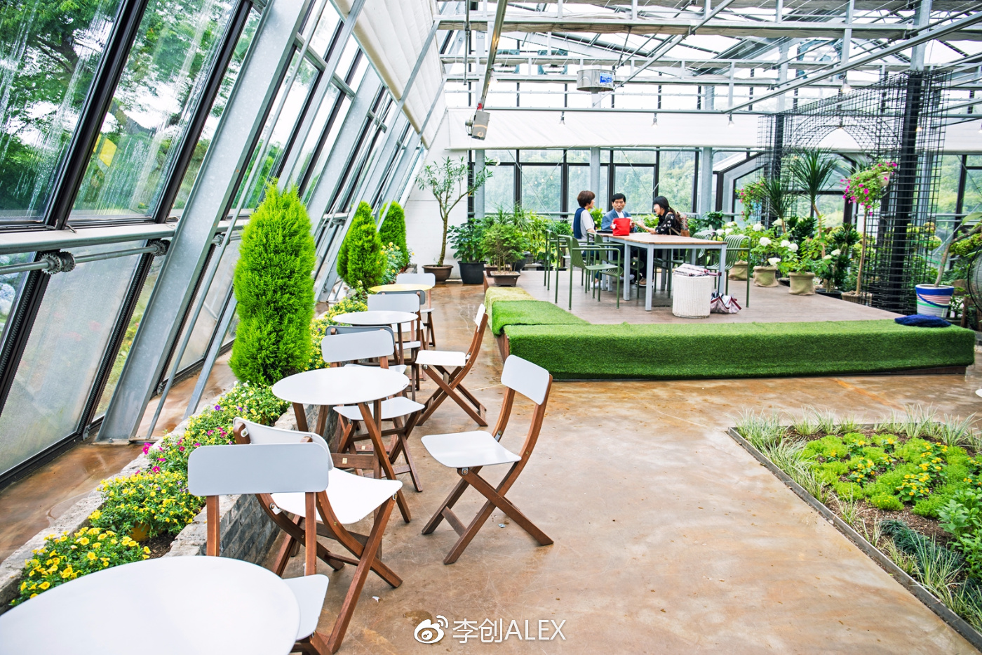 济州岛即将上演的童话世界,去济州岛旅行的感受