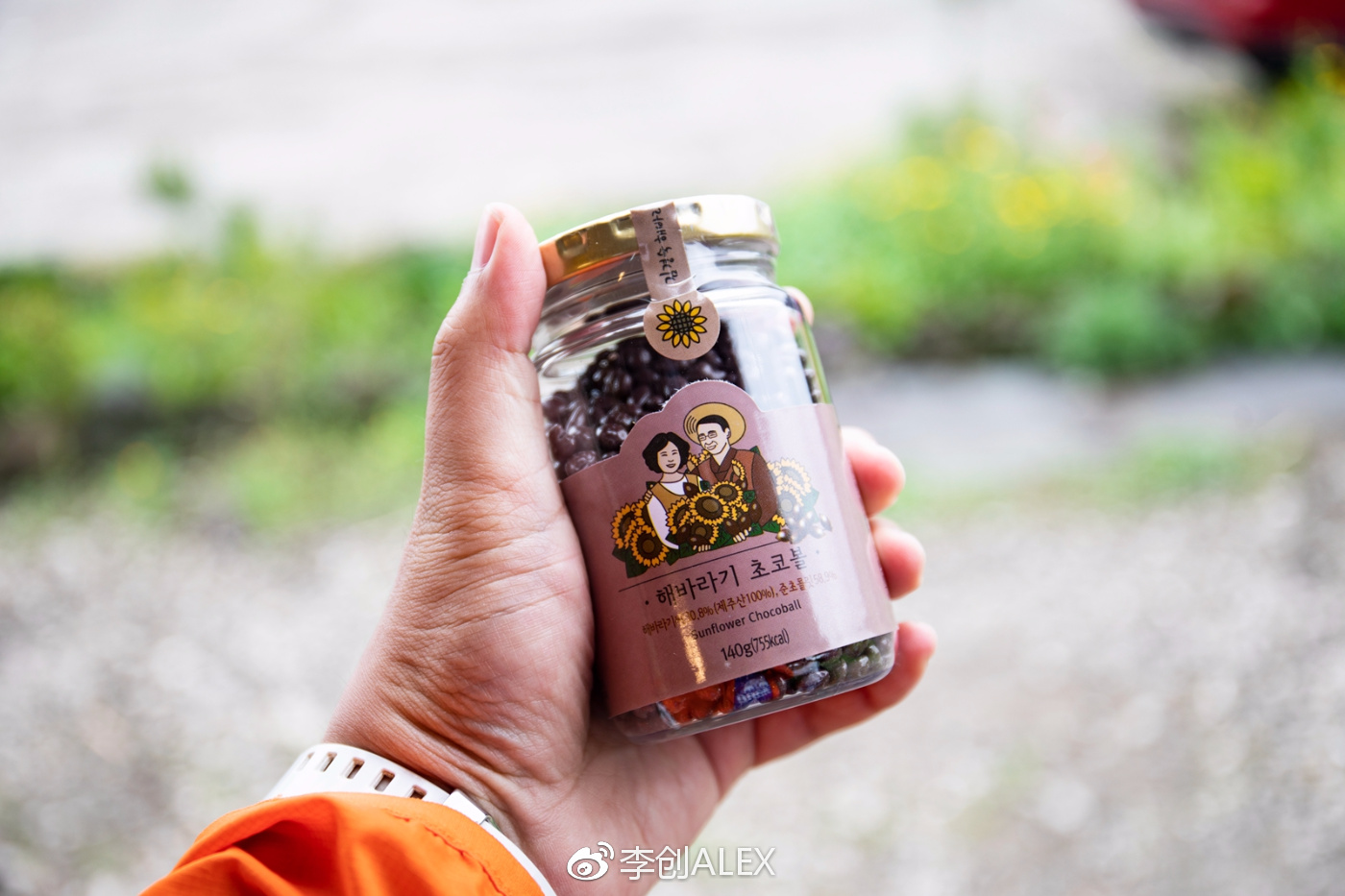 济州岛即将上演的童话世界,去济州岛旅行的感受