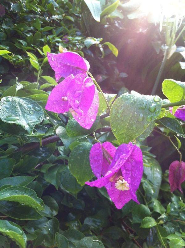 三宝妈妈三亚旅游,三宝妈妈三亚