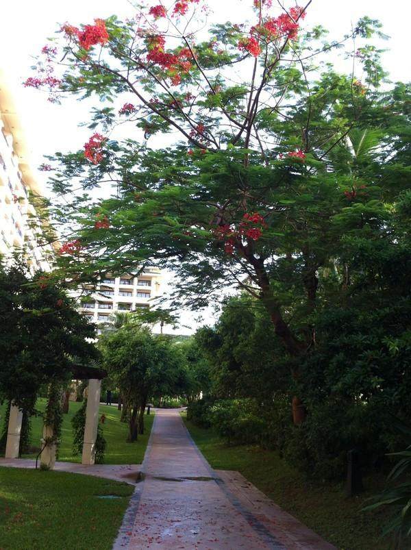 大宝二宝三亚游,三亚三妈游玩攻略