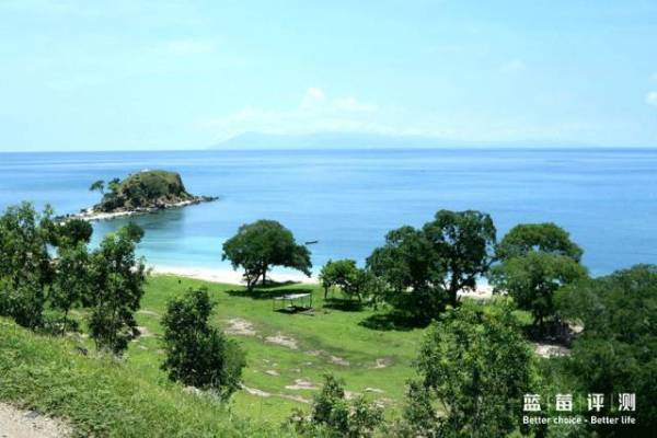 蓝莓评测美国蓝莓,蓝莓评测