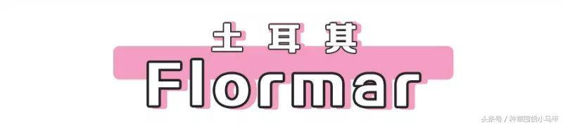 打假网红有哪些,揭露卖假货的网红是谁