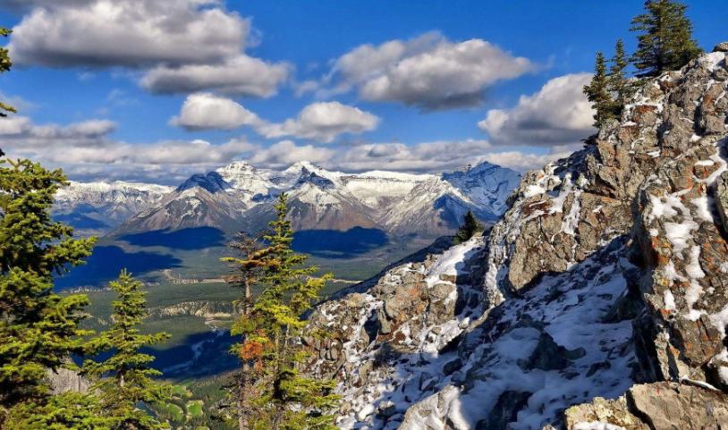 加拿大留学本科成绩要求,加拿大留学本科最新政策