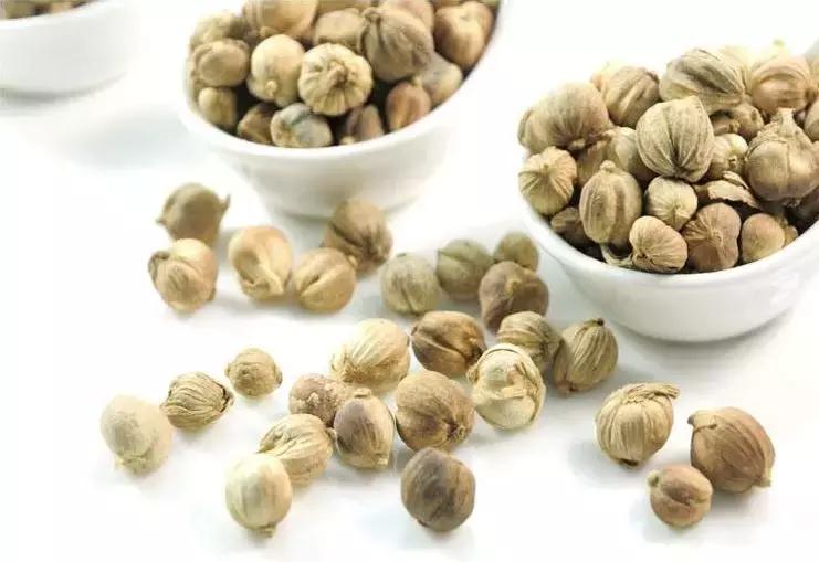 香叶能去除香辛料异味吗,哪些香料能激发食材的原有香味