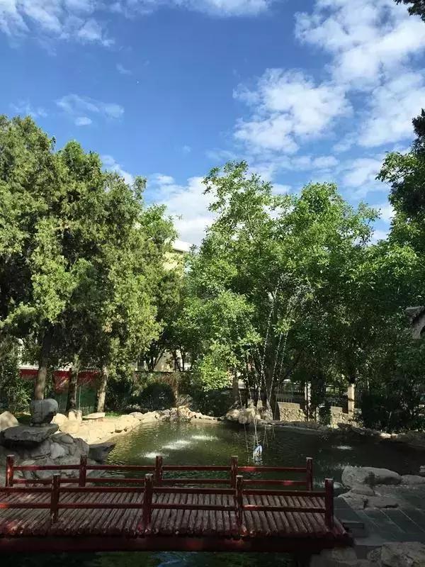 太原漂亮的公园,太原最美公园实景呈现