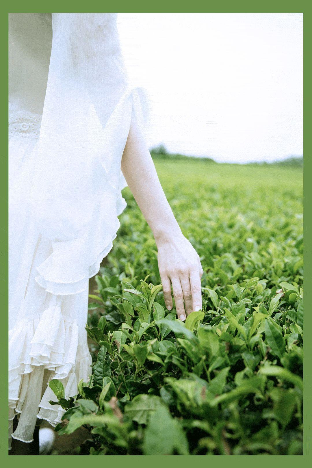 济州岛离岛游玩攻略,济州岛自驾游vlog攻略