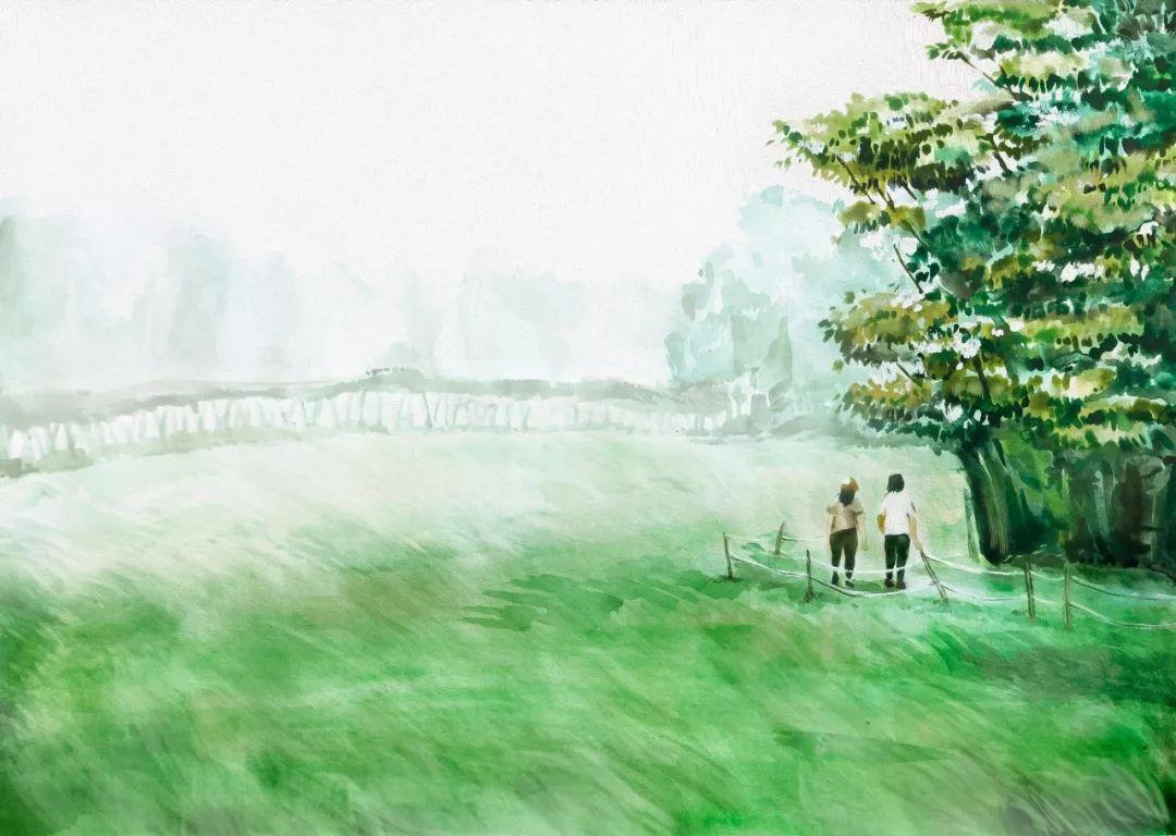 济州岛出游攻略视频大全,济州岛旅行避坑攻略最新