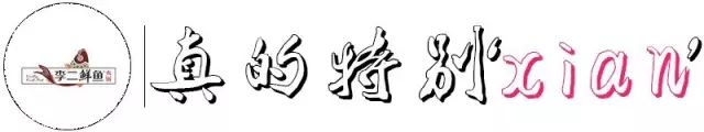 壕！17年只专注一锅鱼李二鲜鱼火锅