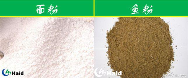 虾的养殖用什么饲料,养虾成本与利润分析表格