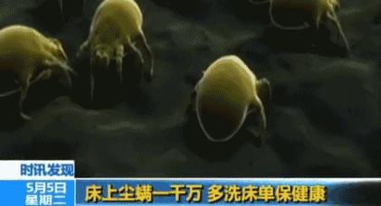 被子床单多长时间换一次避免螨虫,床单睡衣多久换一次