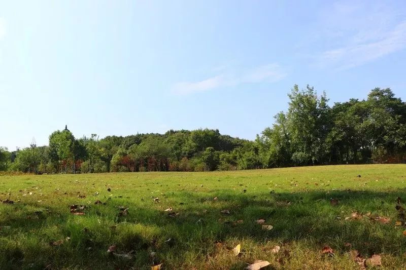 终于等到你的另一种表达,终于等到你内在的含义