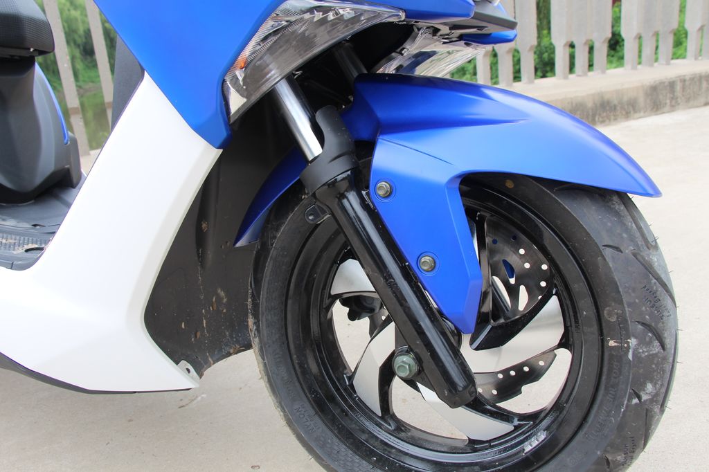 高颜值蚂蚱,漂亮巨型蚂蚱