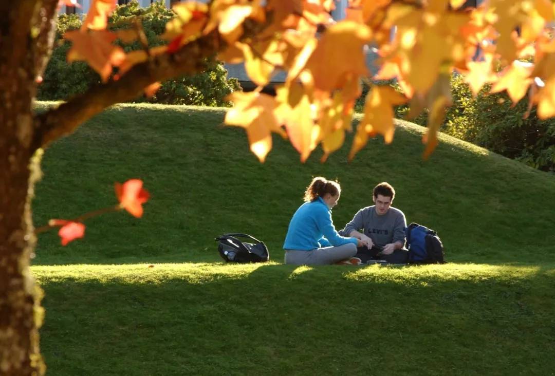 加拿大萨省真实现状,加拿大萨省真实情况
