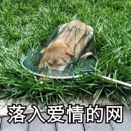 聊天时怎么称呼男闺蜜,怎么称呼闺密的男友