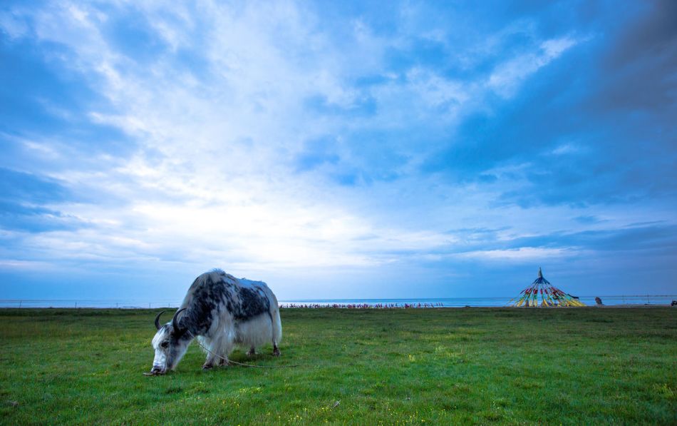 青海湖茶卡盐湖的路线,青海湖茶卡盐湖大草原