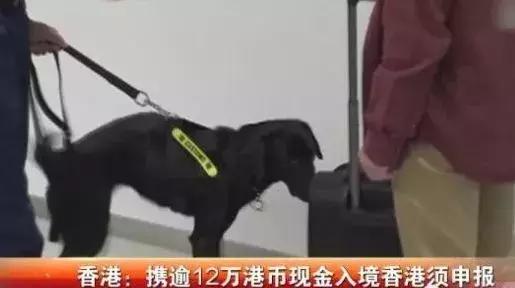 香港代购有新规定吗,2020年香港代购恢复了吗